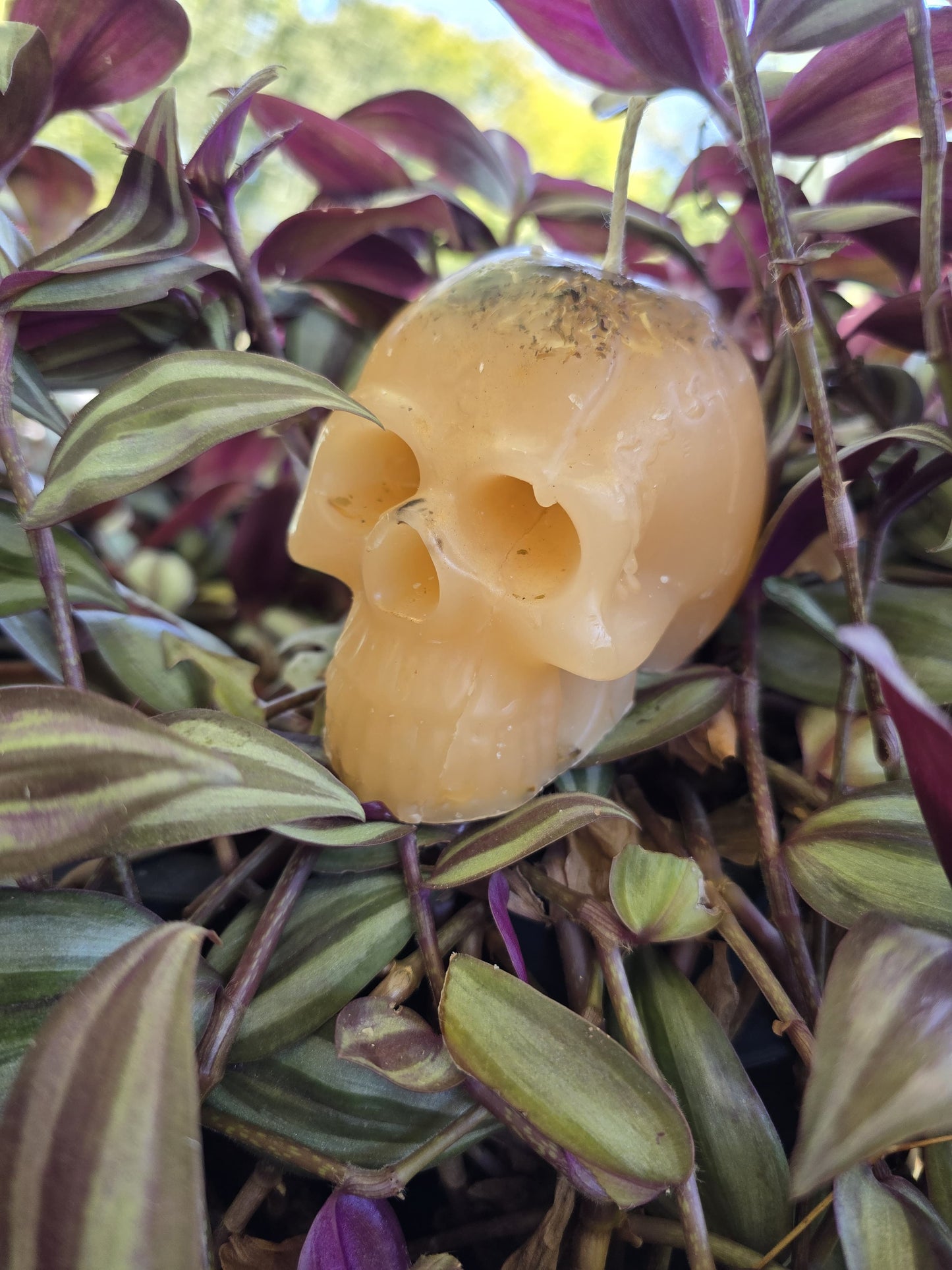 Prosperity Skull Candle
