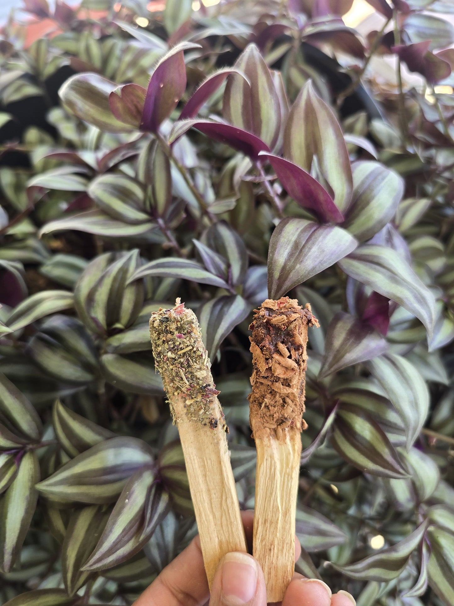 WOMBAN Healing Palo Santo