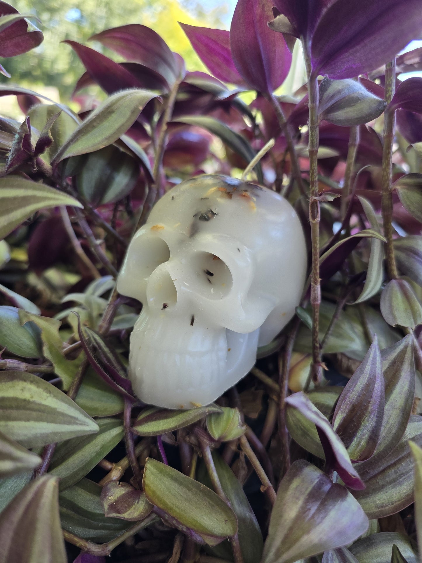 Cleanse Skull Candle