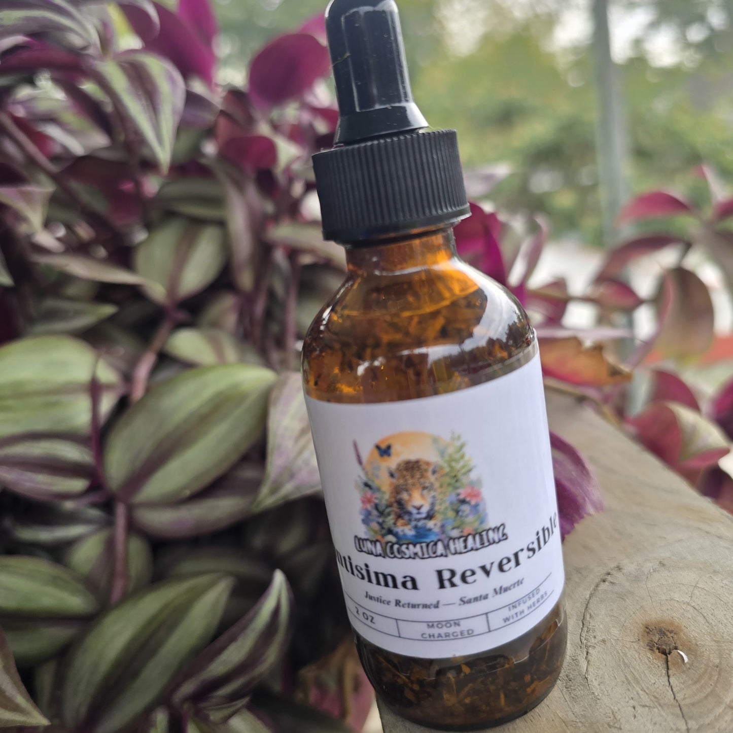 Santa Muerte Reversible