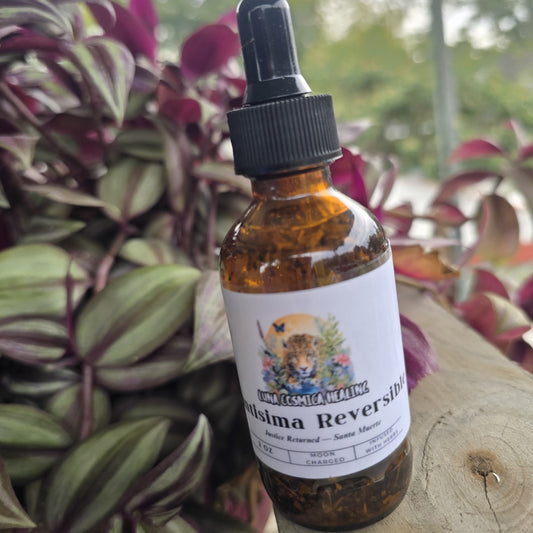 Santa Muerte Reversible