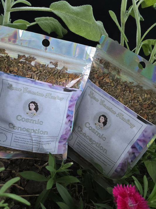 Cosmic Conception – Womb Cleansing Herbal Blend