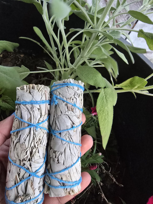 Sage Smudge Stick