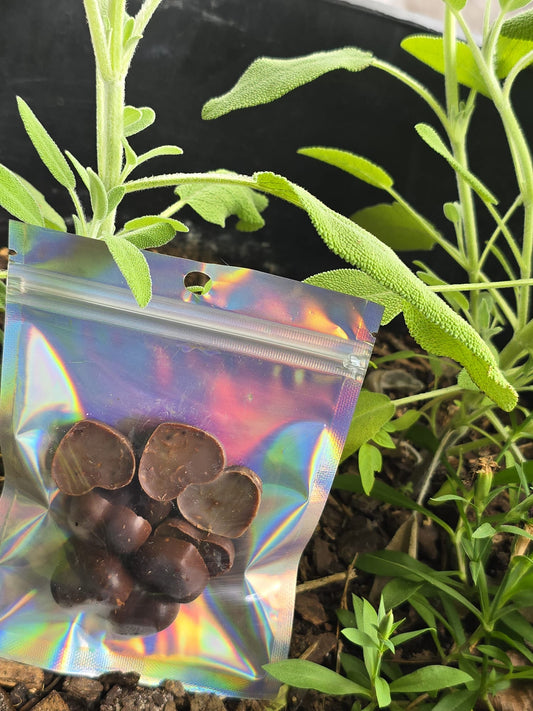 Ceremonial Cacao Hearts – Heart Connection & Emotional Healing